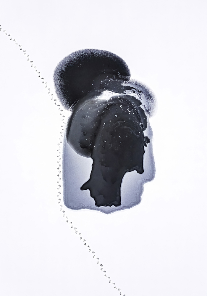marcin_giba_z_cyklu_minimal_animal_faces